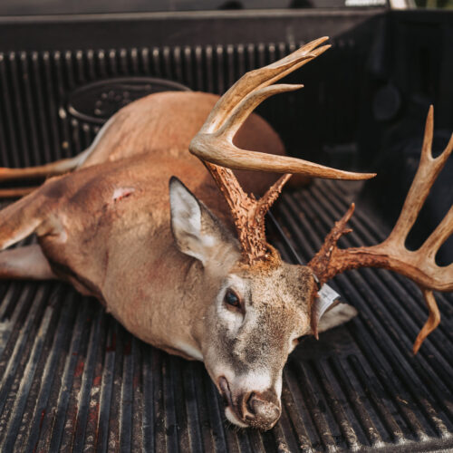 The Fingar Buck The Fingar Buck