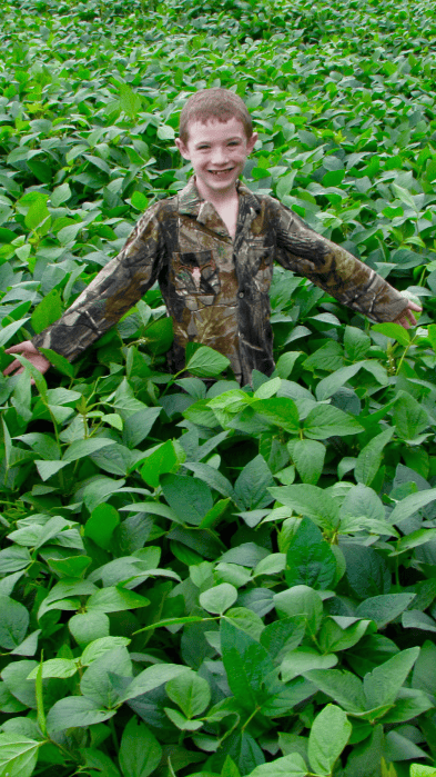 Food Plot Growth